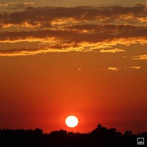 Meet your Posher, Alana